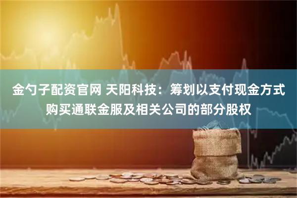 金勺子配资官网 天阳科技：筹划以支付现金方式购买通联金服及相关公司的部分股权