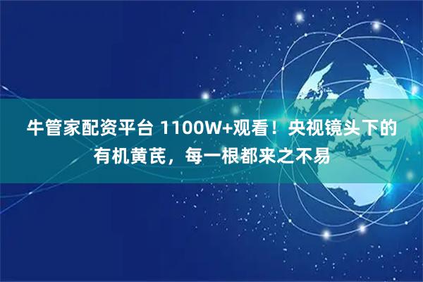 牛管家配资平台 1100W+观看!央视镜头下的有机黄芪,每一根都来之不易