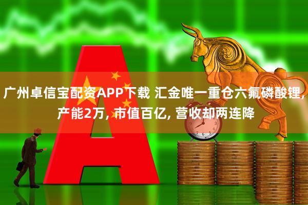广州卓信宝配资APP下载 汇金唯一重仓六氟磷酸锂, 产能2万, 市值百亿, 营收却两连降