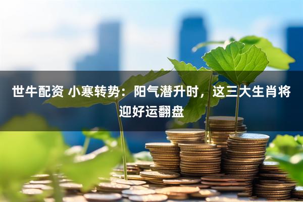 世牛配资 小寒转势：阳气潜升时，这三大生肖将迎好运翻盘